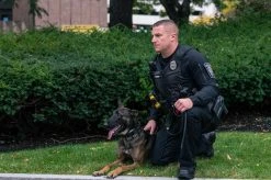 5.11 Tactical Men's Rapid Ops Shirt 72199 -Tactical Clothing Shop 5.11 tactical mens rapid ops shirt 72199 72199 44457.1606944214