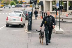 5.11 Tactical Men's Rapid Ops Shirt 72199 -Tactical Clothing Shop 5.11 tactical mens rapid ops shirt 72199 72199 72642.1606944211